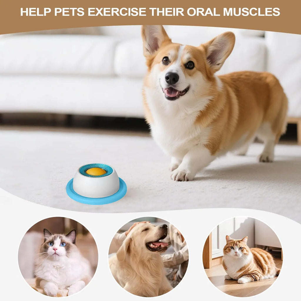 Pet Feeding Treat  Puzzle