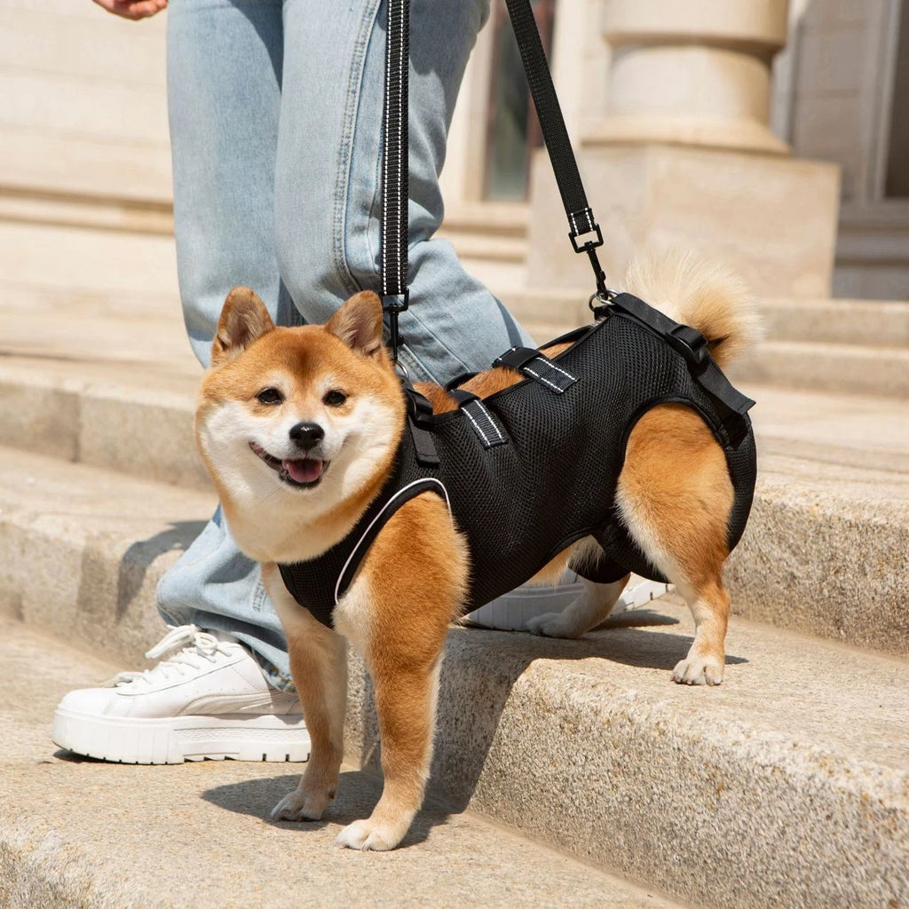 Dog Lift Harness,for Assistance