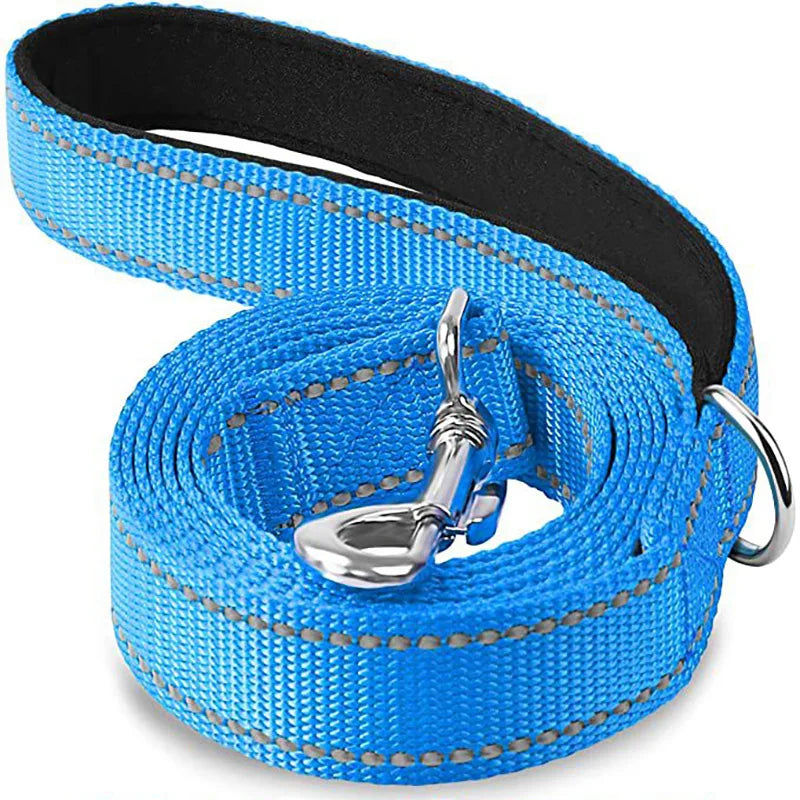 Night Reflection Dog Leash