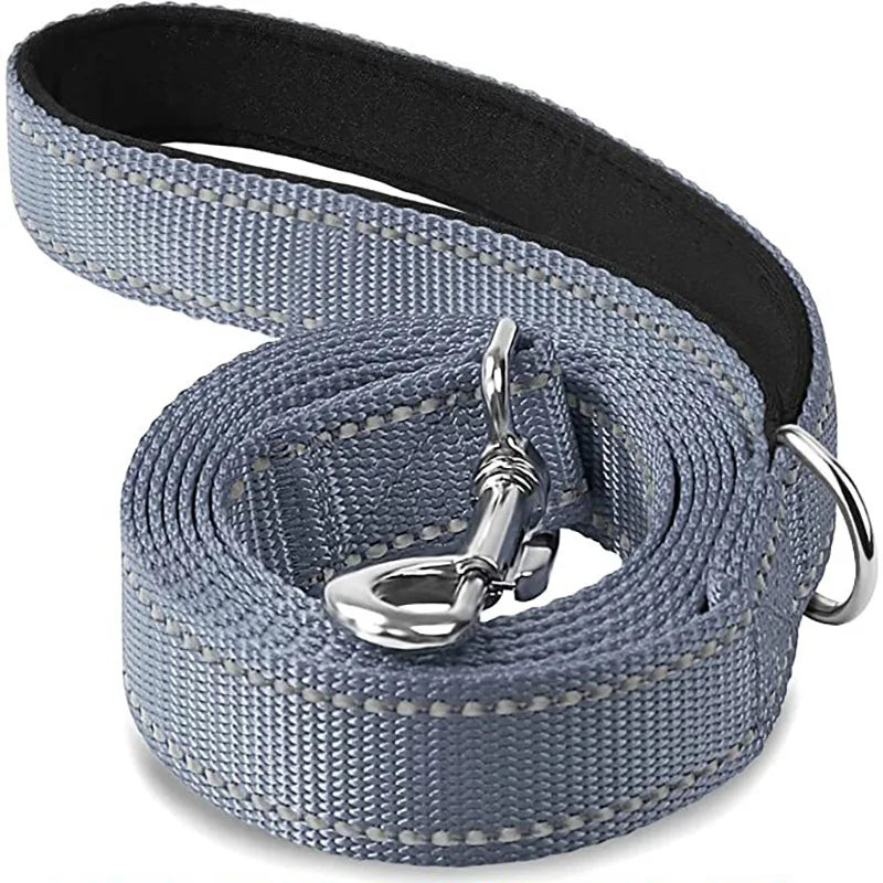 Night Reflection Dog Leash