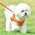 Reflective Pet Harness And Leash Set