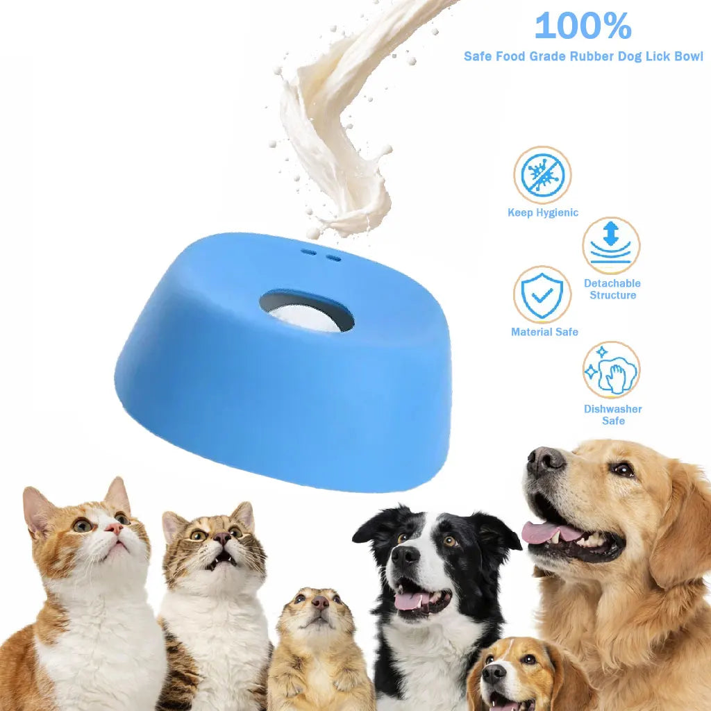 Anti-Choking Slow Feeder Dog Bowl