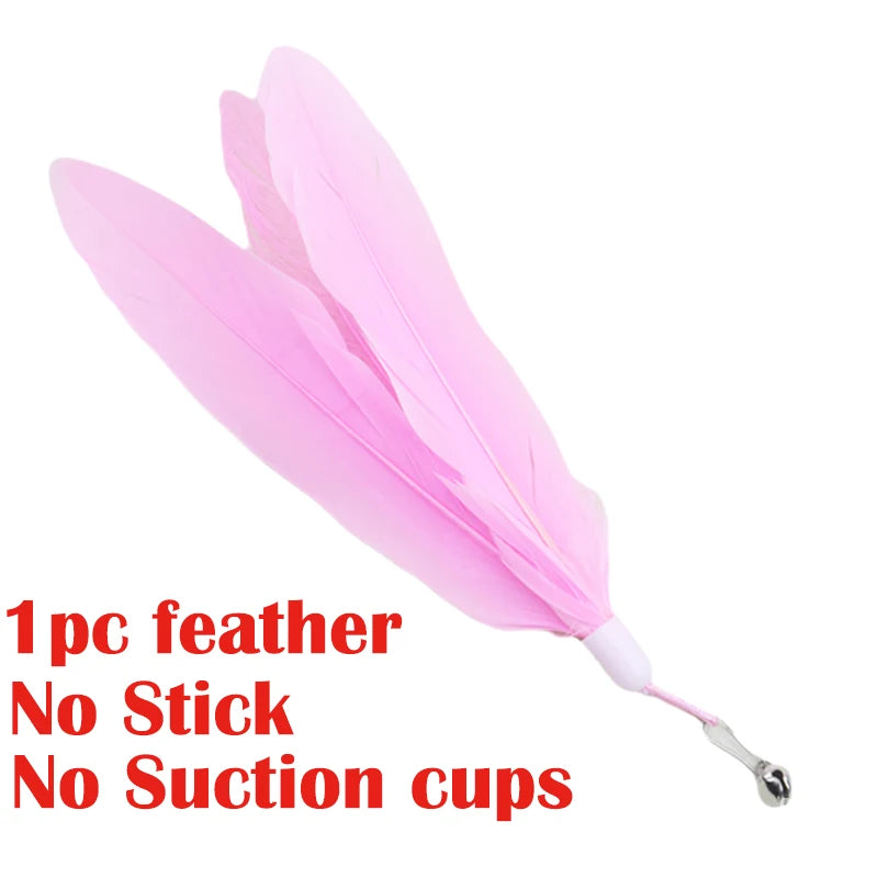 Interactive Cat  Teaser Wand T