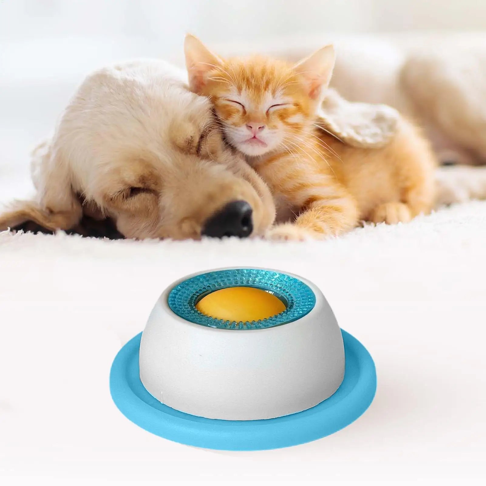 Pet Feeding Treat  Puzzle