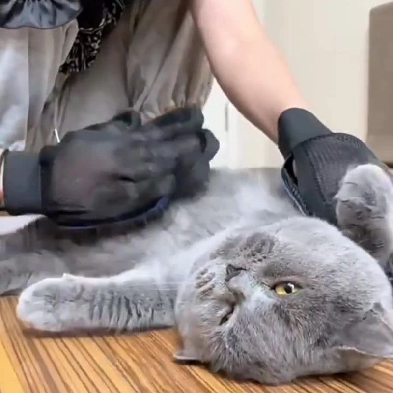 Silicone Pet Grooming Gloves Hair Removal