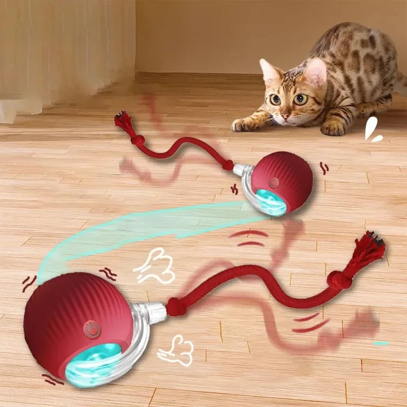 Pet Interactive Ball Toy