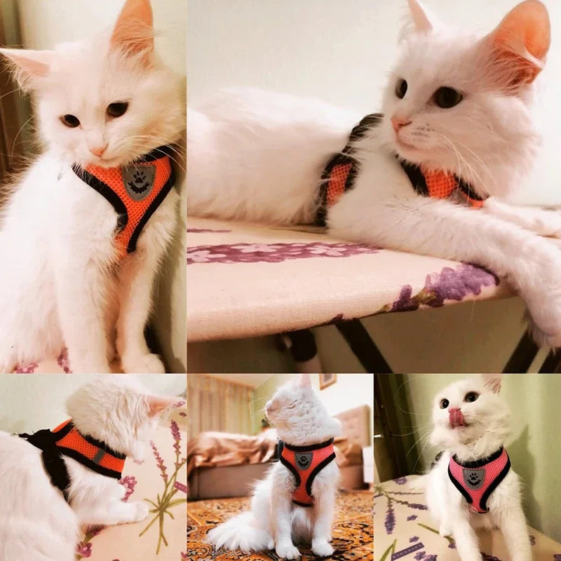 Pet Harness Vest with Lead Leash