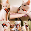 Pet Harness Vest with Lead Leash