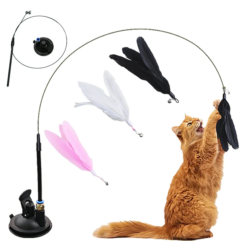 Interactive Cat  Teaser Wand T