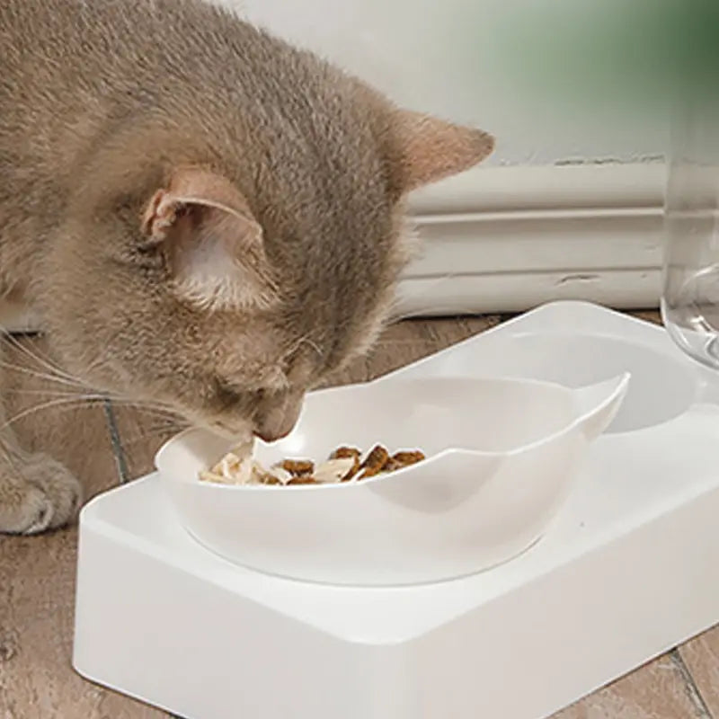 Automatic Pet Food Bowl