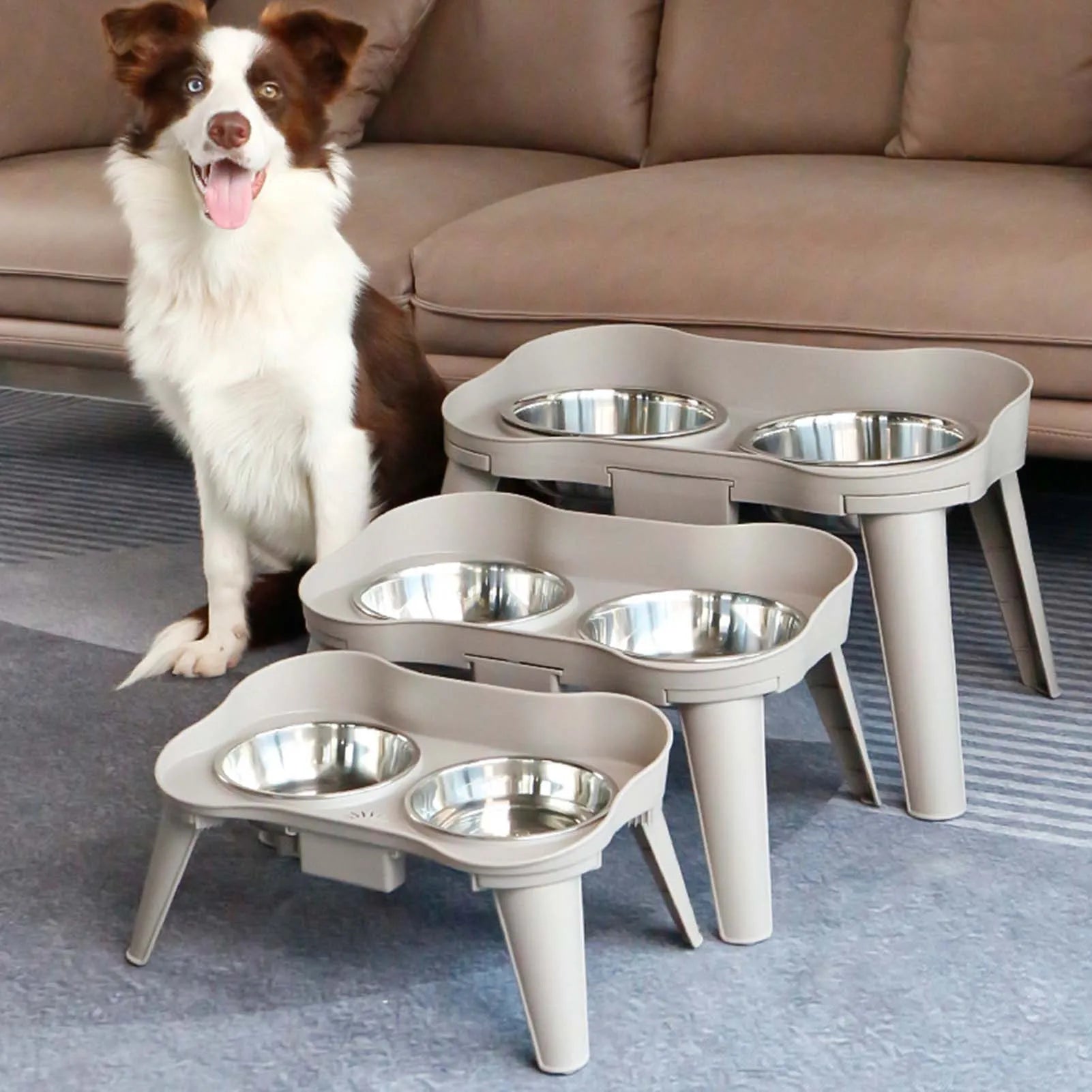 Elevated Dog Feeder Non-Slip