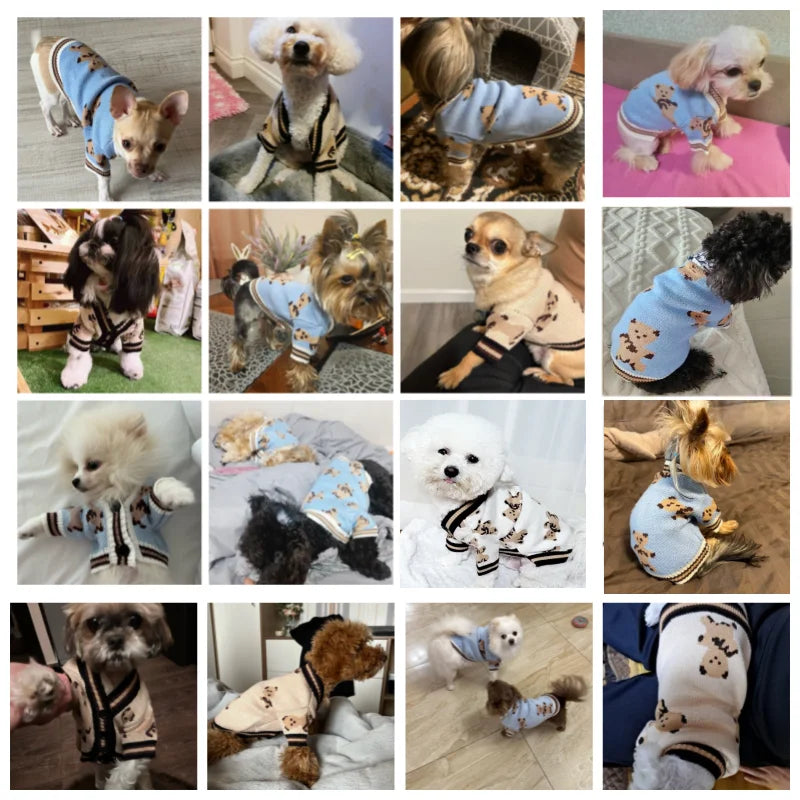 Pet Cardigan Sweater