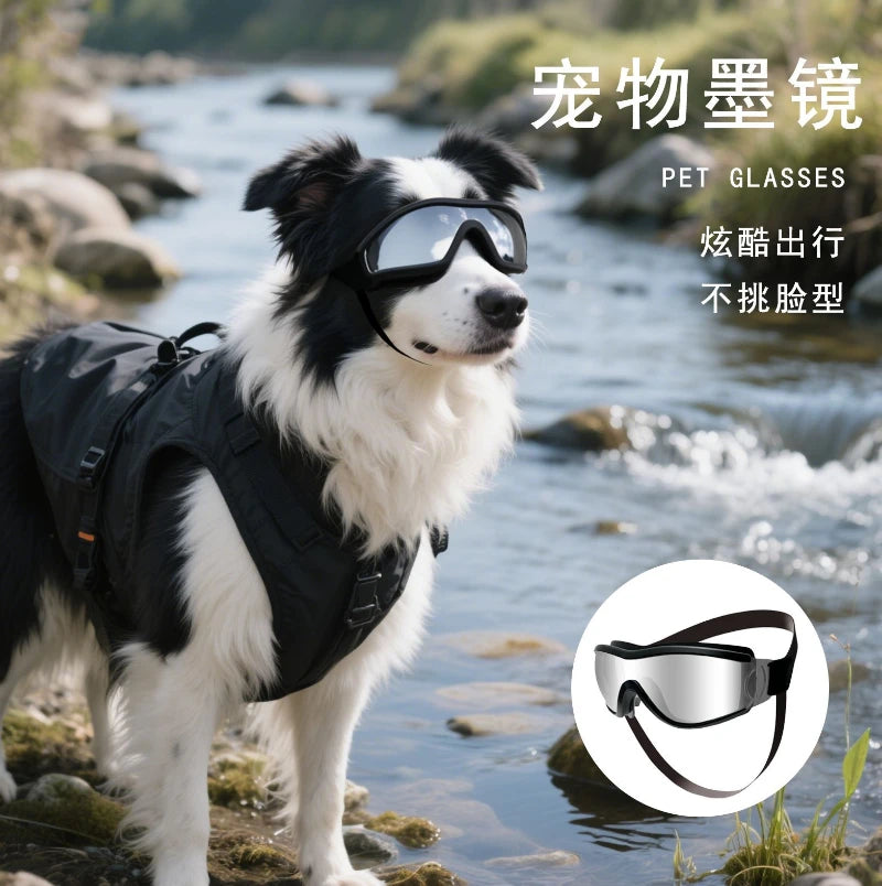 Pet Goggles Outdoor Riding