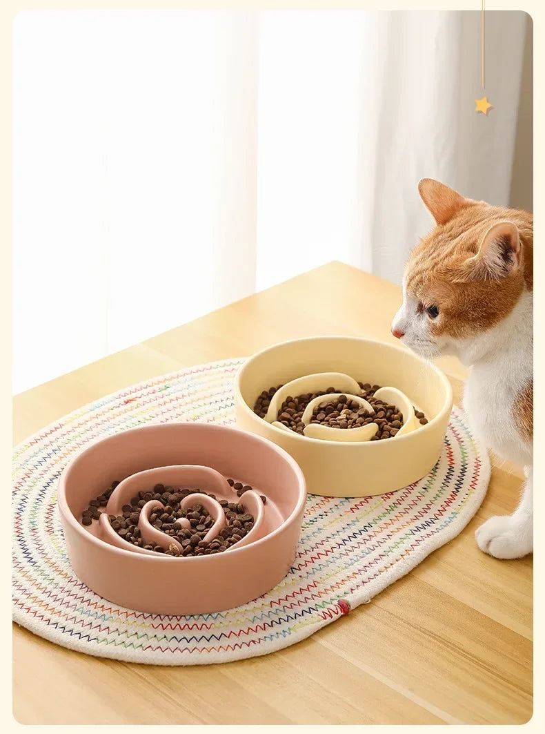Pet Slow Feeding Anti-Choke Bowl