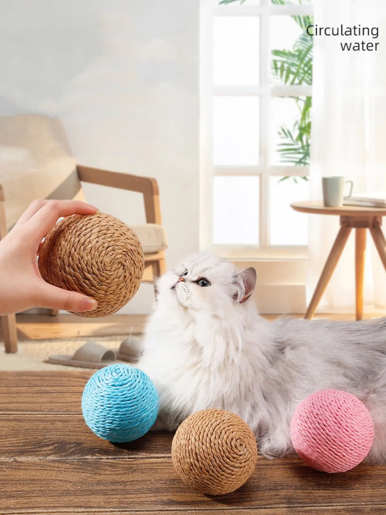 Cat Teeth Cleaning Toy