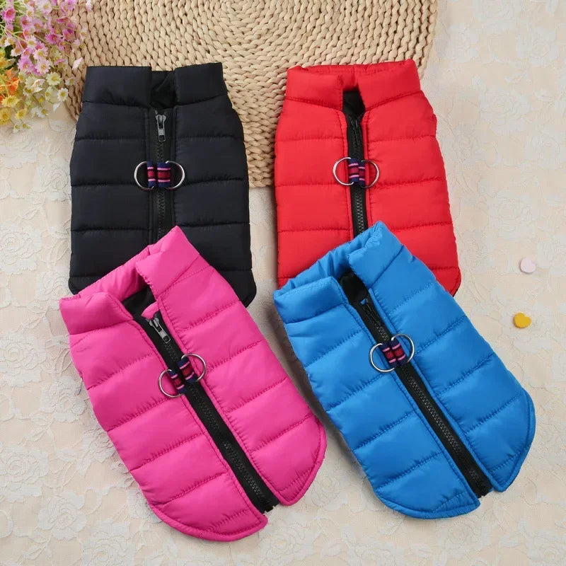Warm Jackets For Small pets