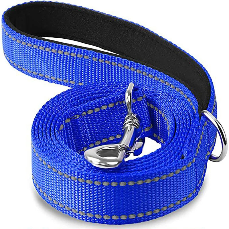 Night Reflection Dog Leash