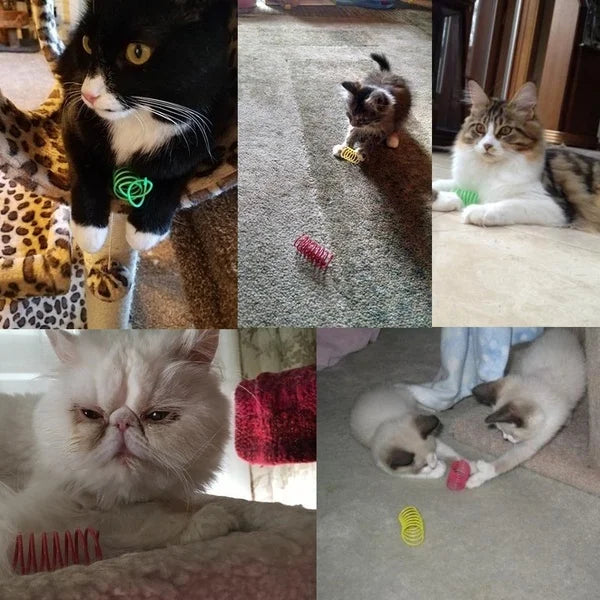 Coil Spiral Springs Cat Toys