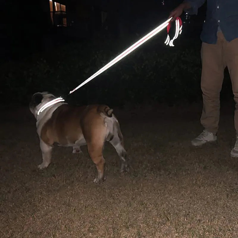 Night Reflection Dog Leash