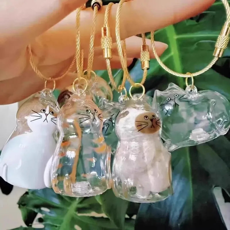 Transparent cat hair storage Keepsake