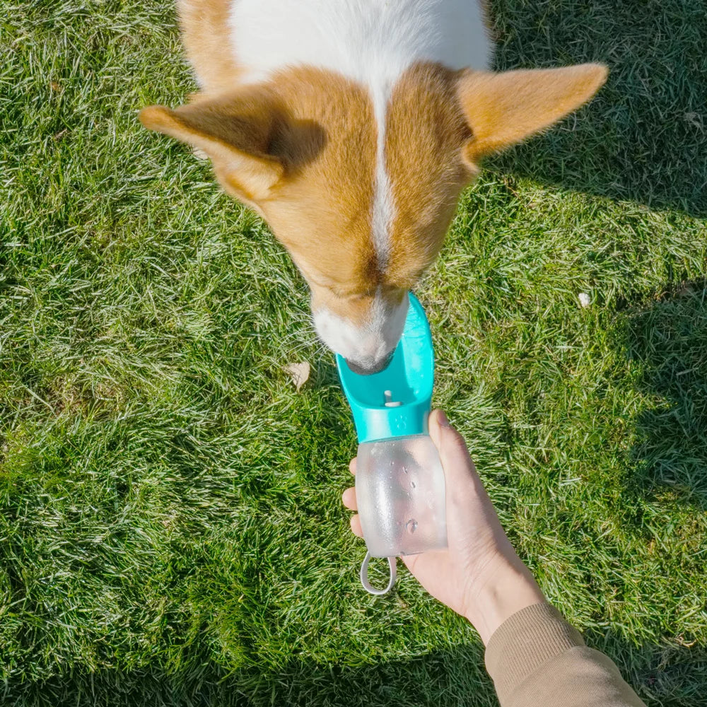 Pet Dog Water Bottle portable