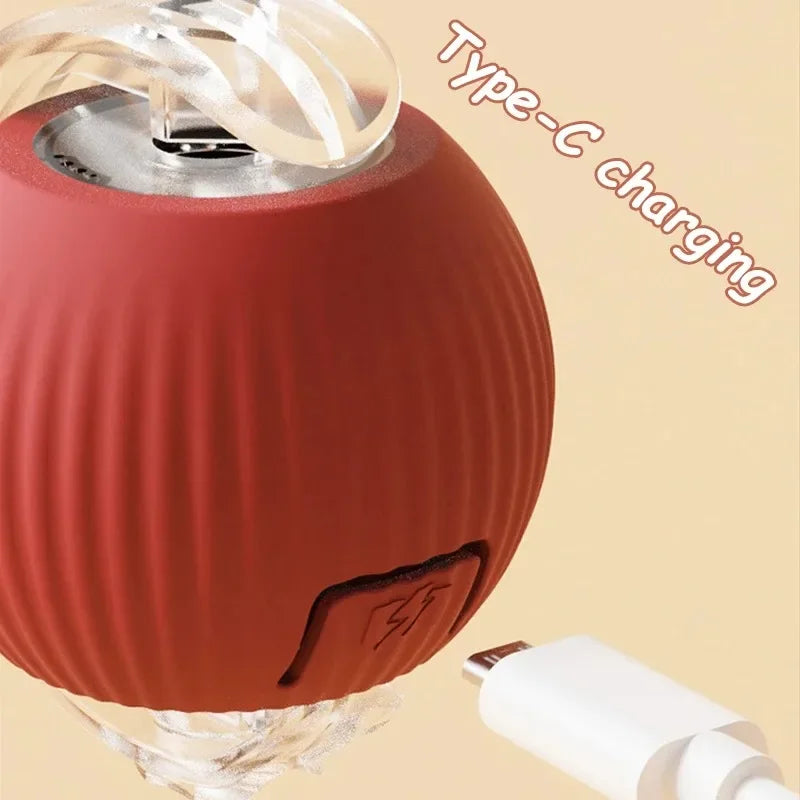 Pet Interactive Ball Toy