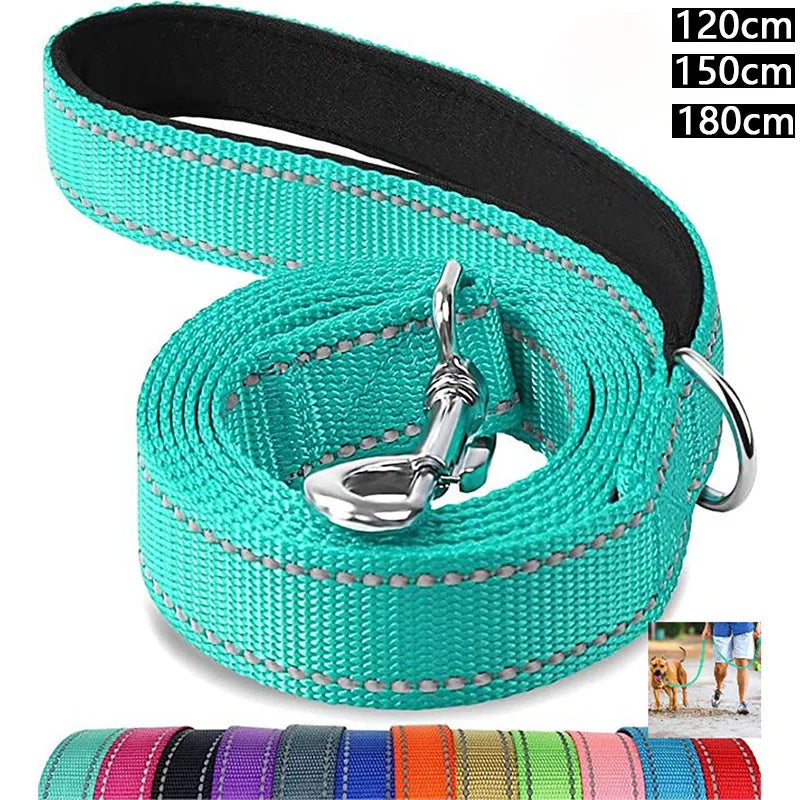 Night Reflection Dog Leash