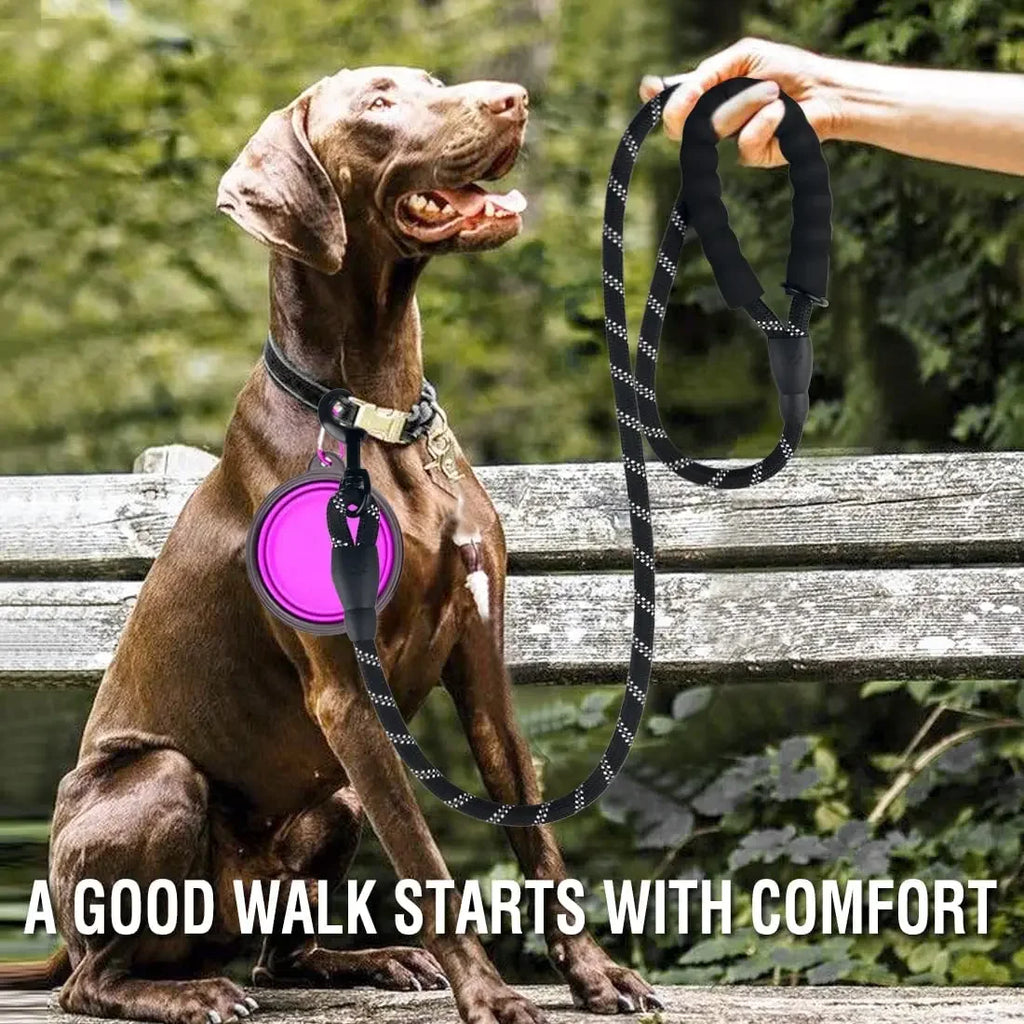 Pet Reflective Leashes Leash