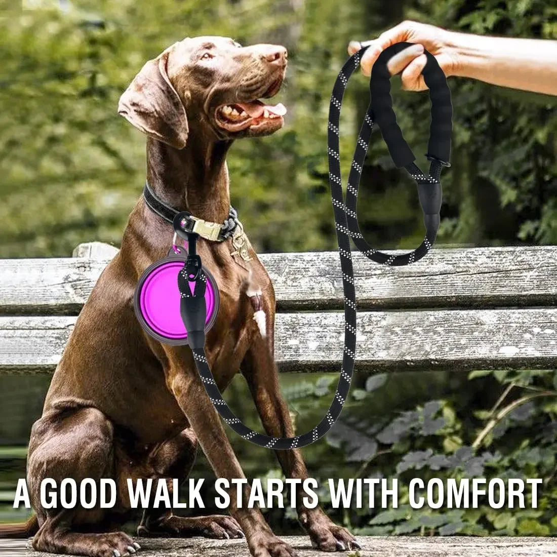 Pet Reflective Leashes Leash